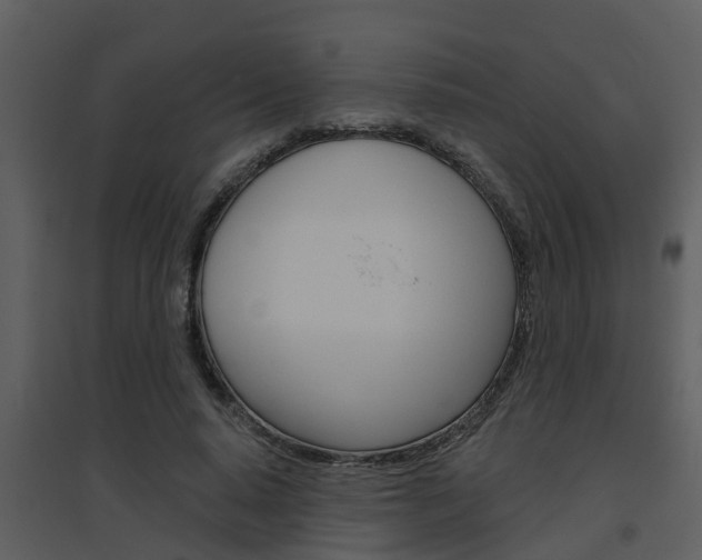 X0000094790640200711160918