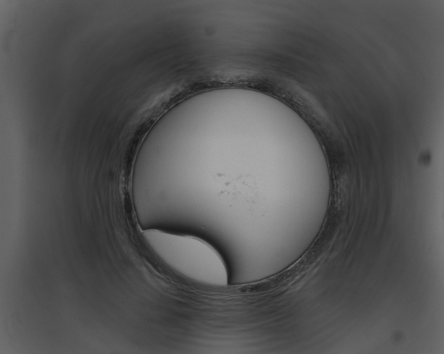 X0000094790644200711160918