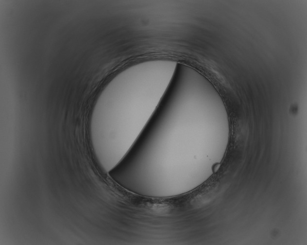 X0000094790645200711160918