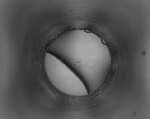 X0000094790647200711160918