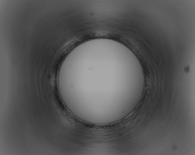 X0000094790648200711160918