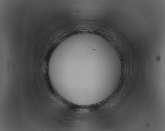 X0000094790649200711160918