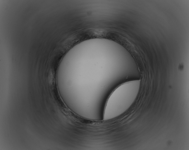 X0000094790651200711160918