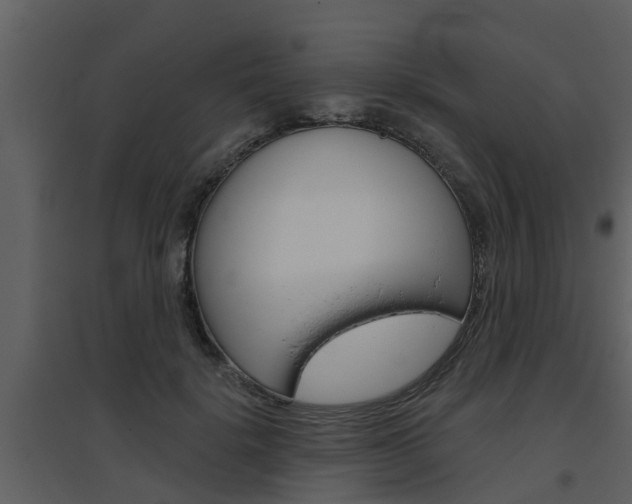 X0000094790652200711160918