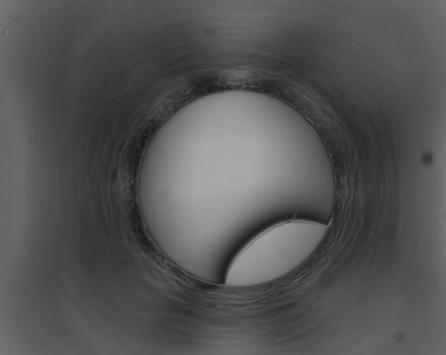 X0000094790653200711160918