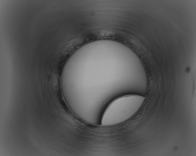 X0000094790654200711160918