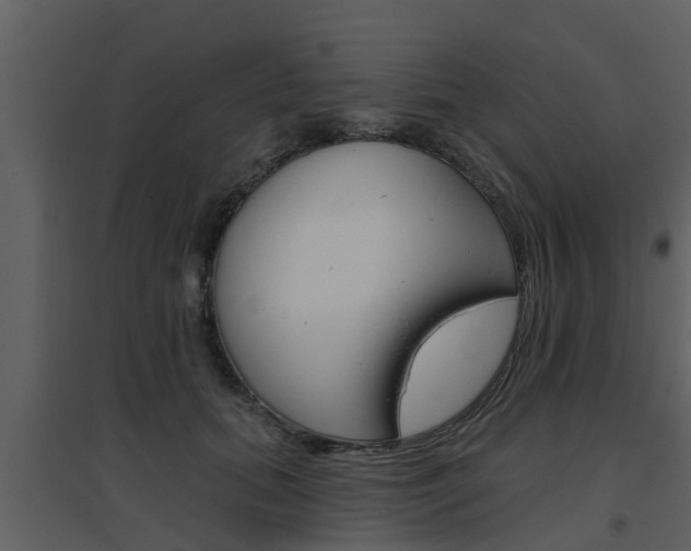 X0000094790655200711160918