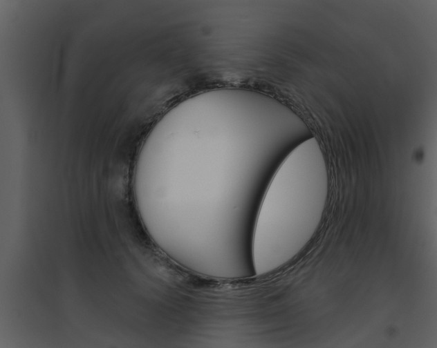 X0000094790656200711160918
