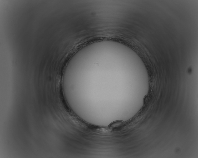 X0000094790660200711160918