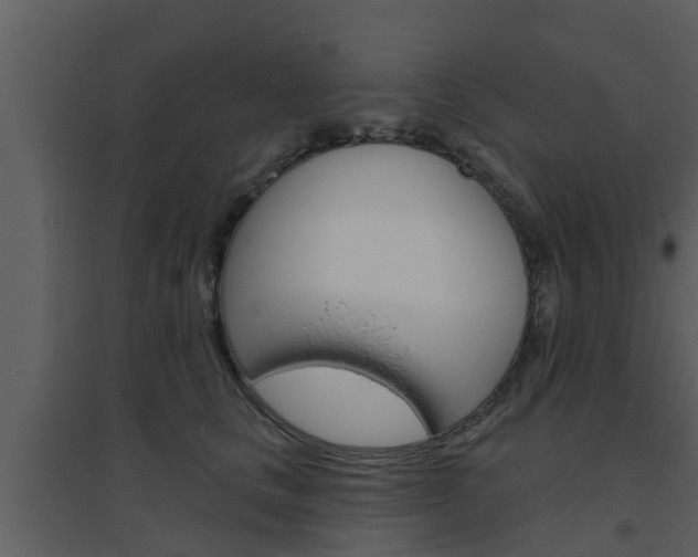 X0000094790661200711160918