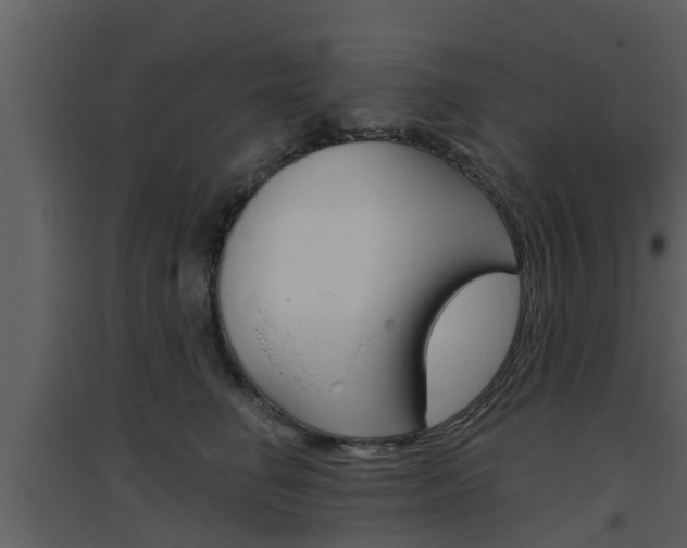 X0000094790662200711160918
