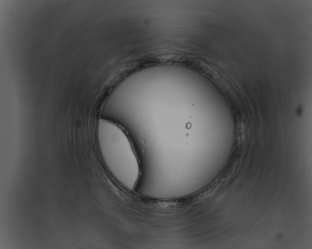 X0000094790664200711160918