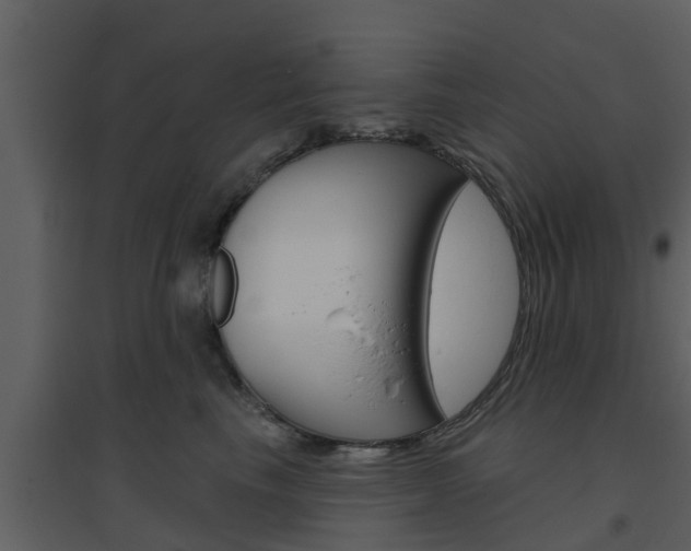 X0000094790665200711160918