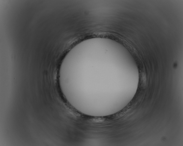X0000094790668200711160918