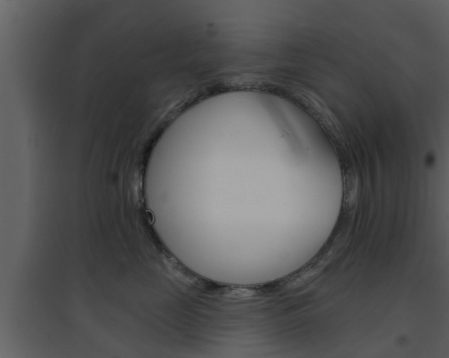 X0000094790669200711160918