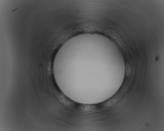 X0000094790670200711160918