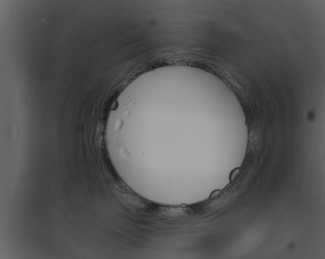 X0000094790671200711160918