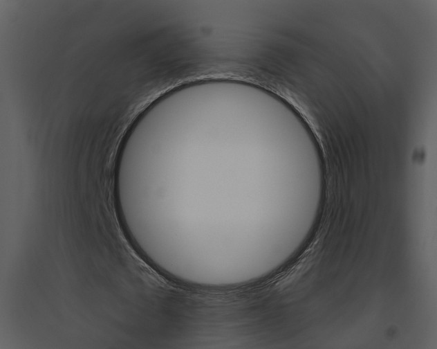 X0000094790673200711160917