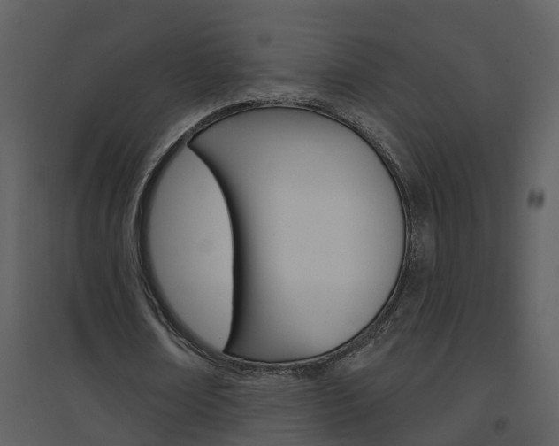 X0000094790674200711160917