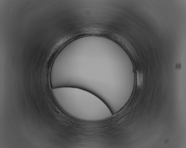X0000094790675200711160917