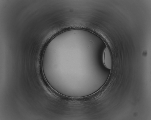 X0000094790677200711160917