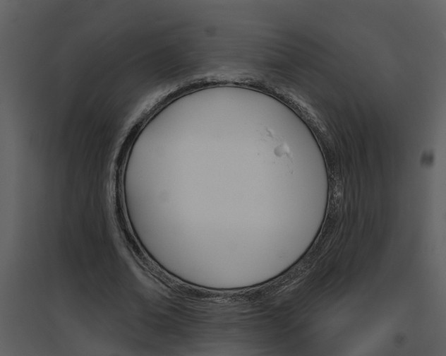 X0000094790678200711160917