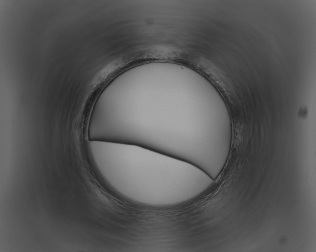 X0000094790679200711160917
