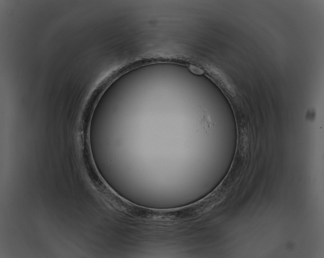 X0000094790680200711160917