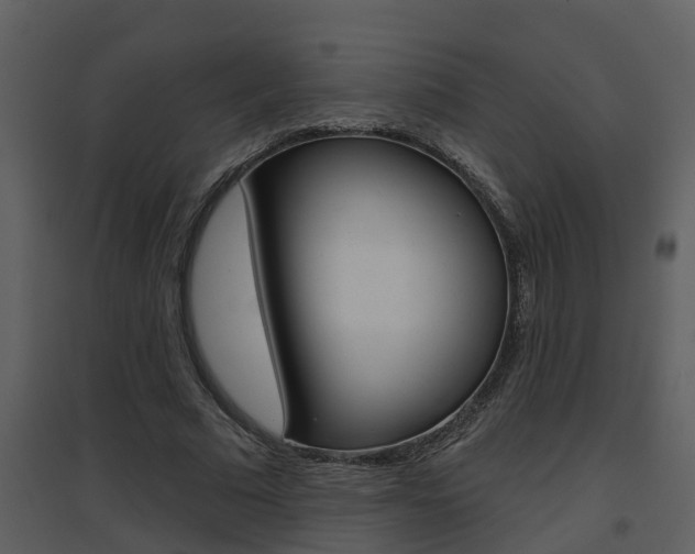 X0000094790681200711160917