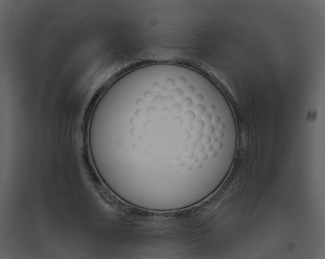 X0000094790682200711160917