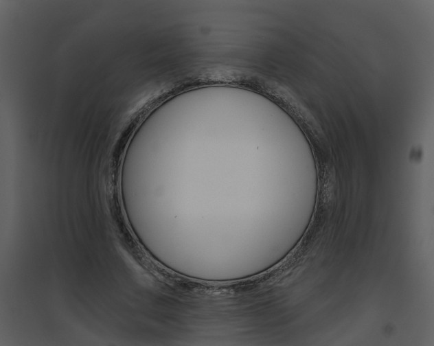 X0000094790683200711160917