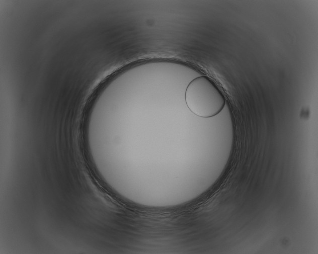 X0000094790684200711160917