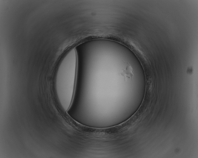 X0000094790685200711160917