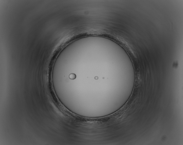 X0000094790686200711160917