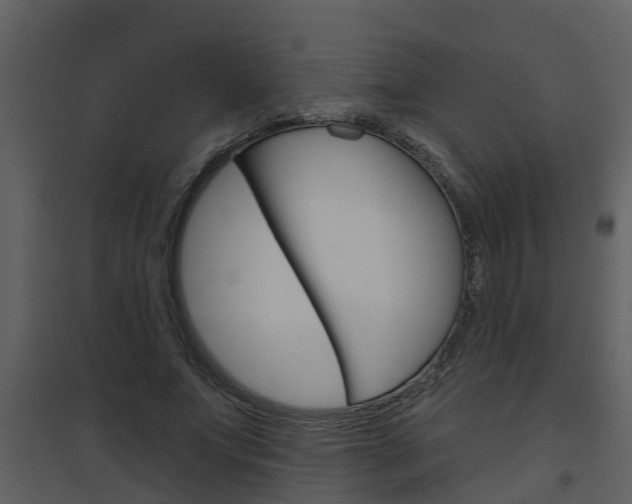 X0000094790687200711160917