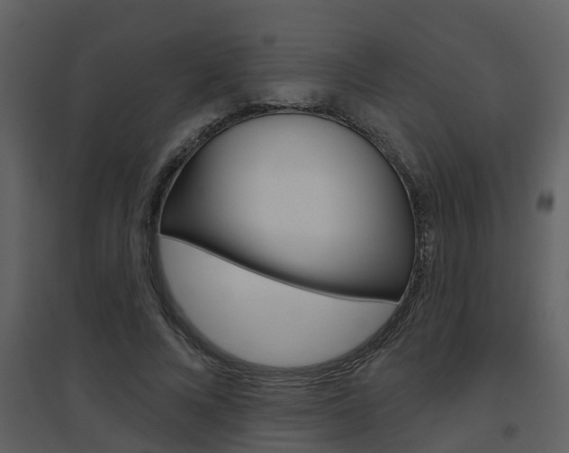 X0000094790688200711160917