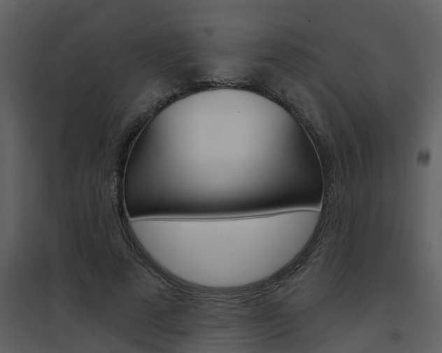 X0000094790689200711160917