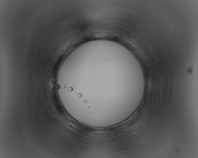 X0000094790691200711160917
