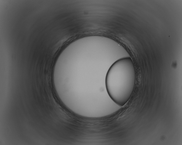 X0000094790693200711160917