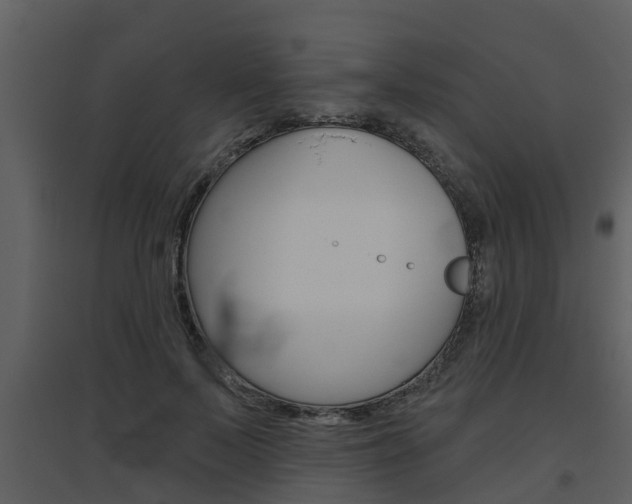 X0000094790695200711160917