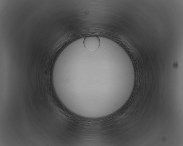X0000094790696200711160917