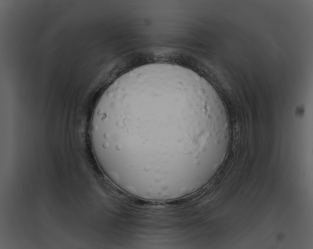 X0000094790698200711160917