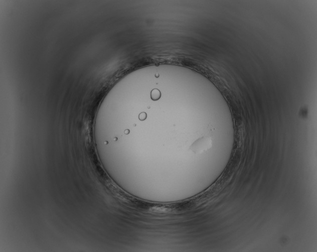 X0000094790699200711160917