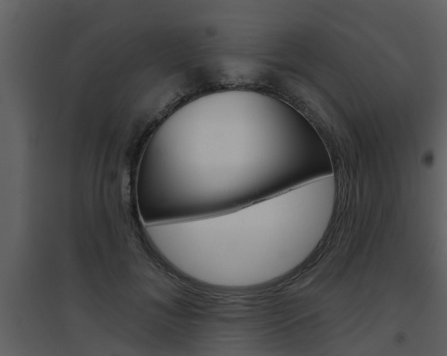 X0000094790700200711160917