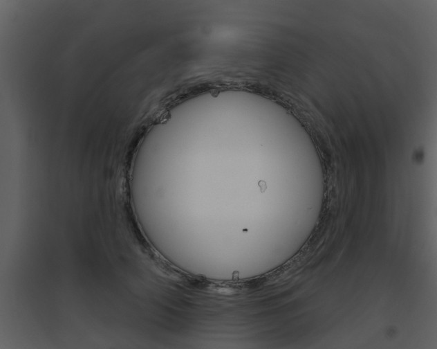 X0000094790706200711160917