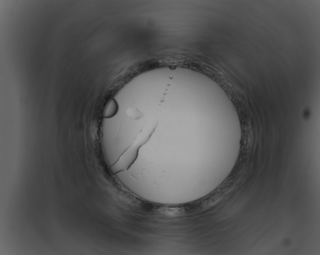 X0000094790711200711160917