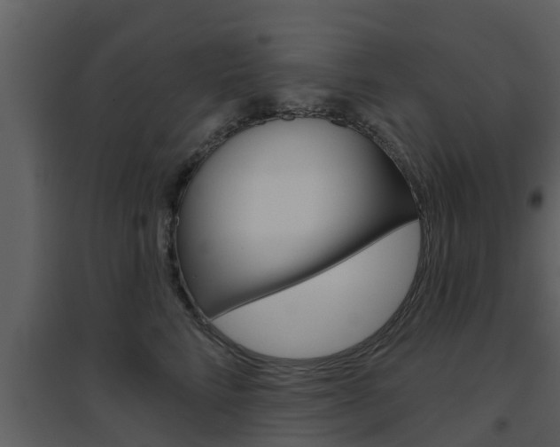 X0000094790712200711160917