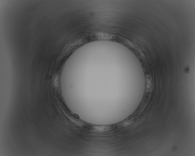 X0000094790713200711160917