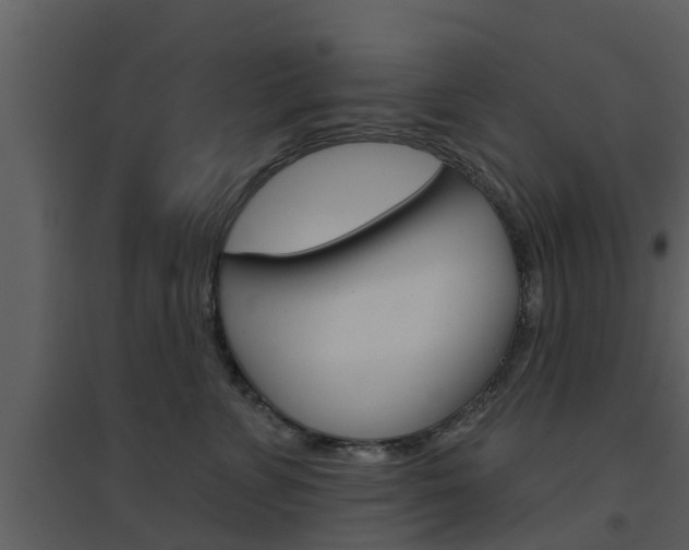 X0000094790715200711160917