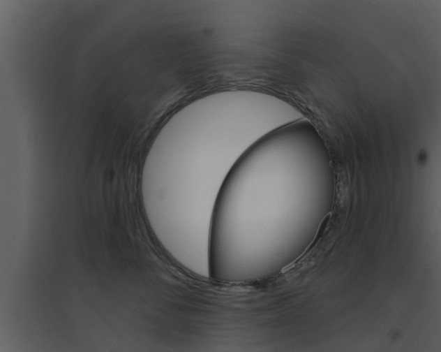 X0000094790716200711160917